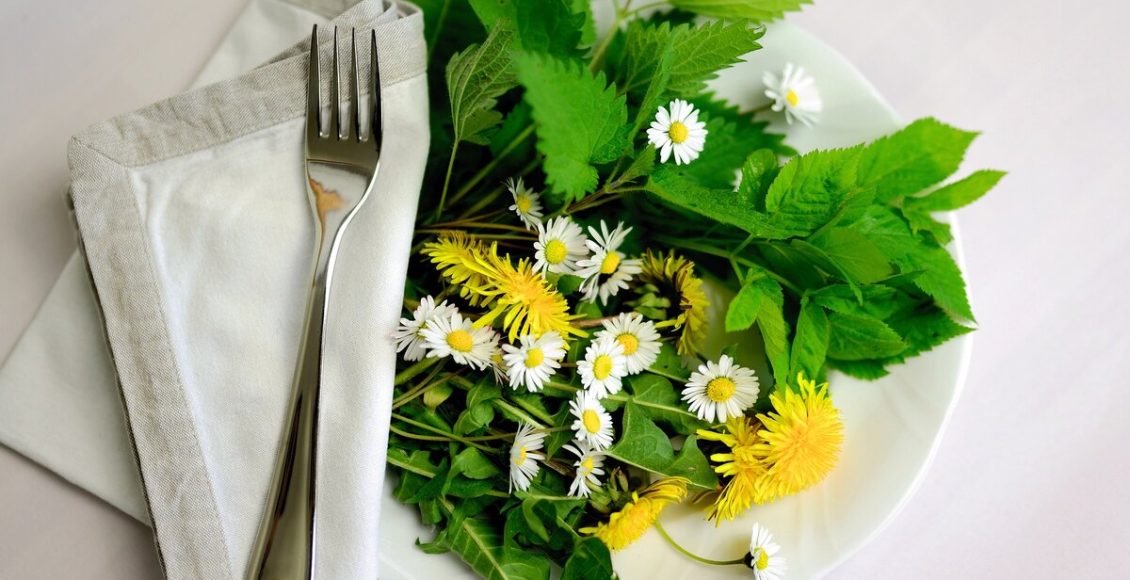 Jardim de comida: cultive plantas comestíveis de maneira simples com essas dicas. Foto: Pixabay