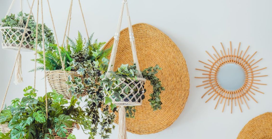 Plantas da moda: confira o top 5 usadas na decoração das casas - Fonte: Canva