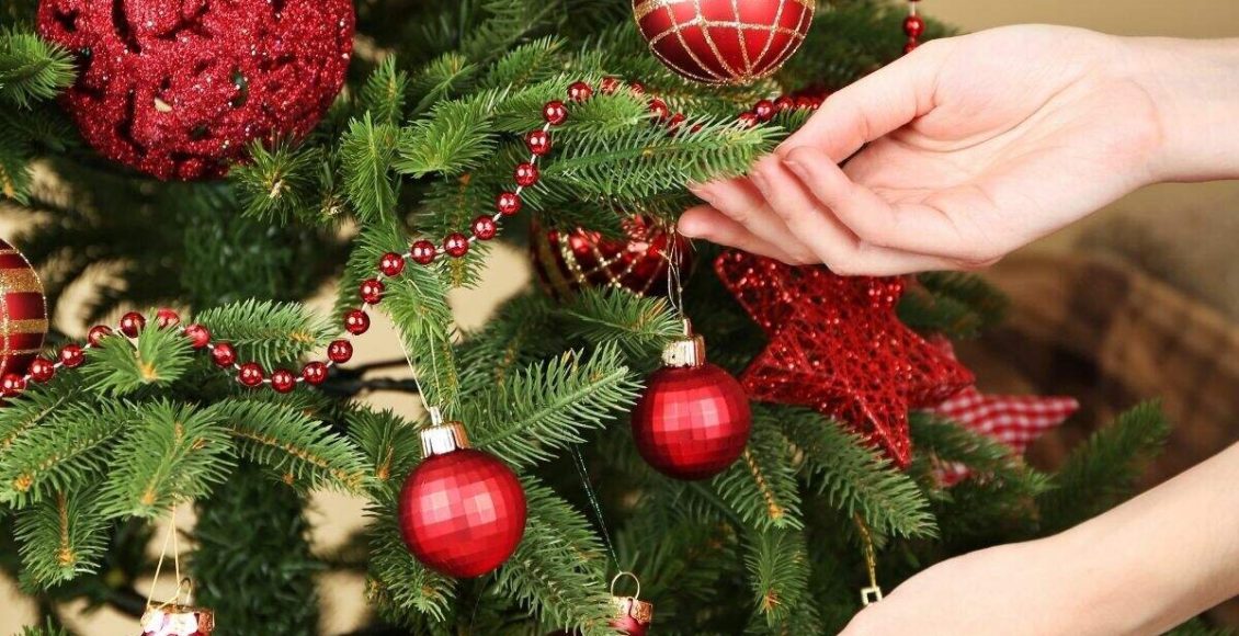 Plantas natalinas: confira essas dicas de decoração para o natal! Foto: Canva