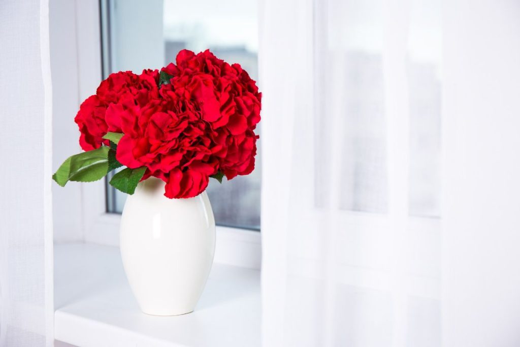 Como cultivar roseira em vaso da forma certa? Aprenda truques simples e práticos. Fonte: Freepik