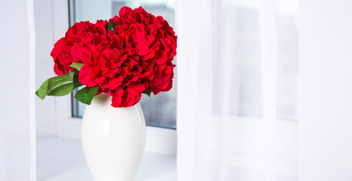 Como cultivar roseira em vaso da forma certa? Aprenda truques simples e práticos. Fonte: Freepik