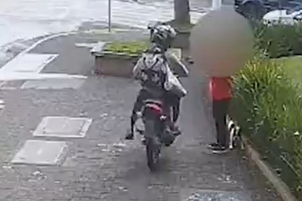 Passeio matinal com cachorro termina em roubo na capital paulista. Imagem: reprodução