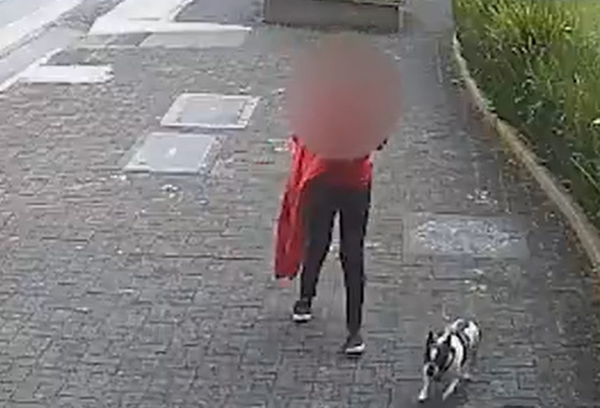 Passeio matinal com cachorro termina em roubo na capital paulista. Imagem: reprodução Passeio matinal com cachorro termina em roubo na capital paulista. Imagem: reprodução