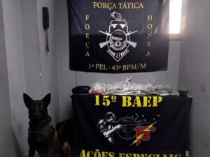 Como cães farejadores localizaram uma casa bomba do tráfico. Imagem: Divulgação PM