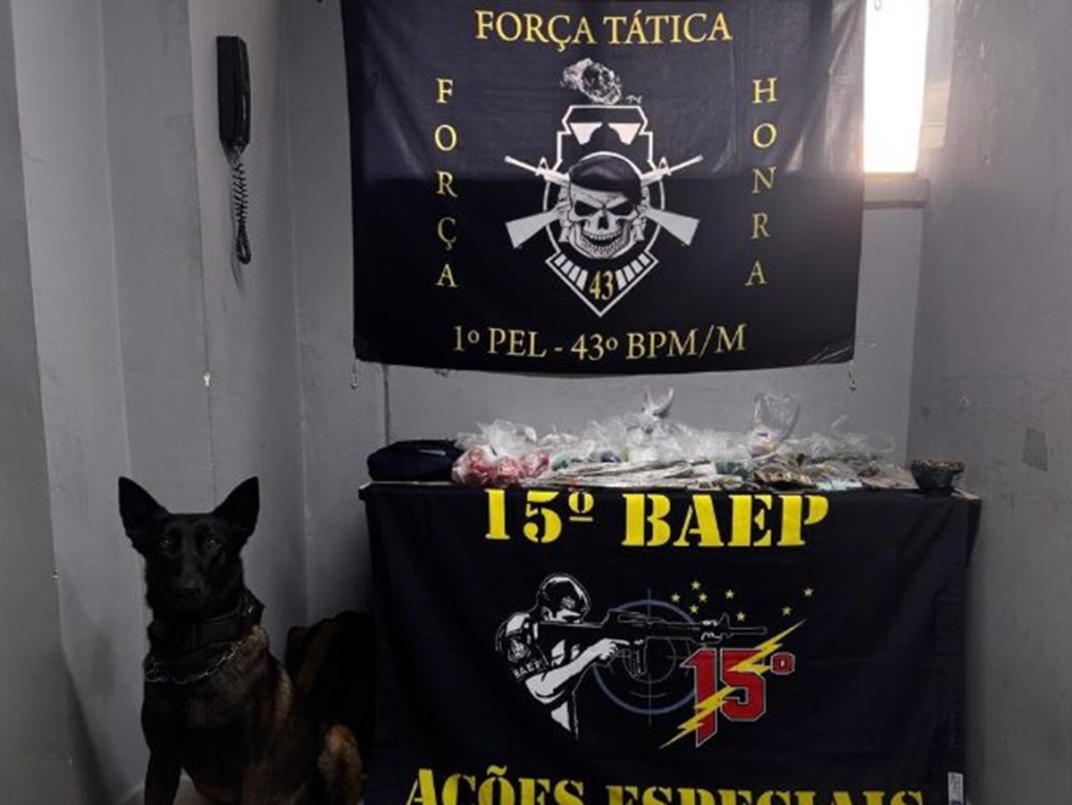 Como cães farejadores localizaram uma casa bomba do tráfico