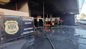 Incêndios marcam final de semana na Grande São Paulo. Imagem: Divulgação
