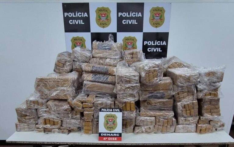 Polícia apreende 750 kg de maconha disfarçados de erva-mate