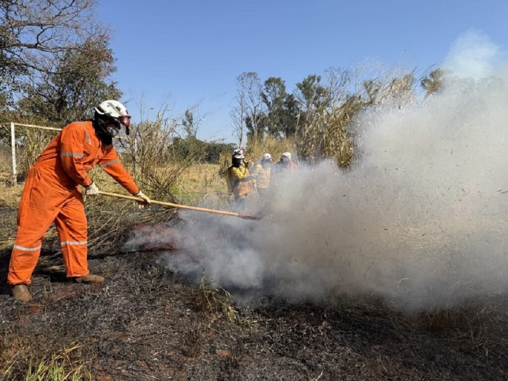 Estiagem: SP intensifica ações para combater queimadas. Imagem: Governo de SP