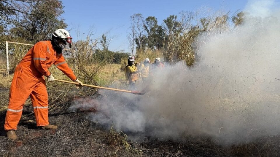 Estiagem: SP intensifica ações para combater queimadas. Imagem: Governo de SP