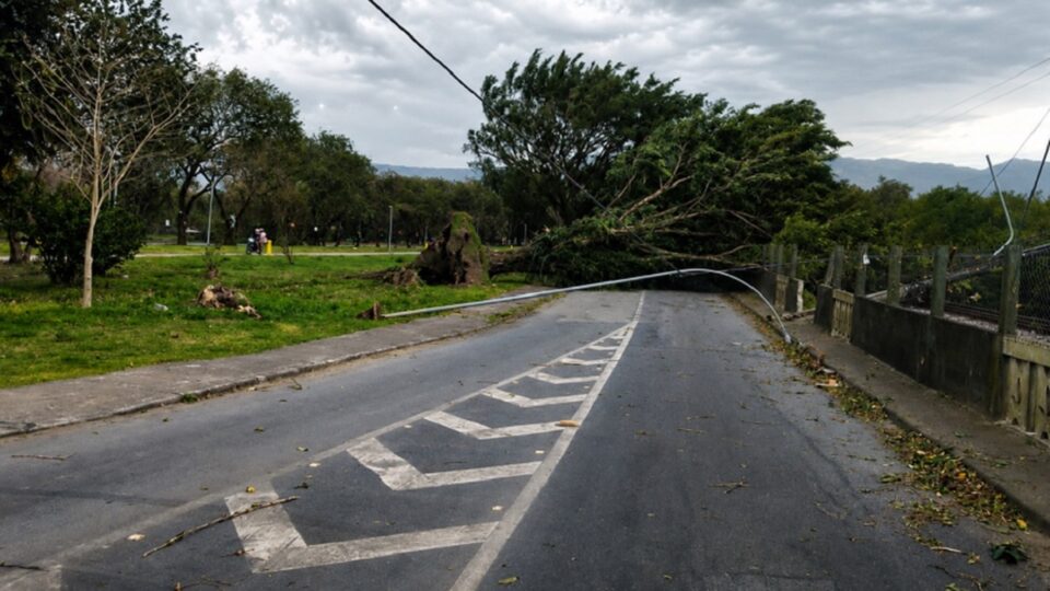 Ventos em SP derrubam 40 árvores e cancelam voos. Imagem: Defesa Civil