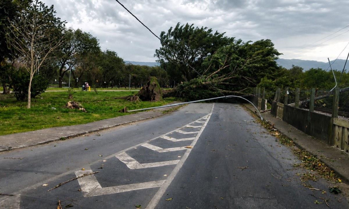 Ventos em SP derrubam 40 árvores e cancelam voos