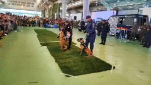 GCM abre as portas do canil para competição internacional. Imagem: Prefeitura de SP