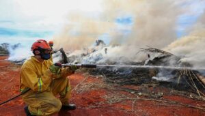 Risco de incêndios é alto na capital paulista, diz Defesa Civil. Imagem: Governo de SP