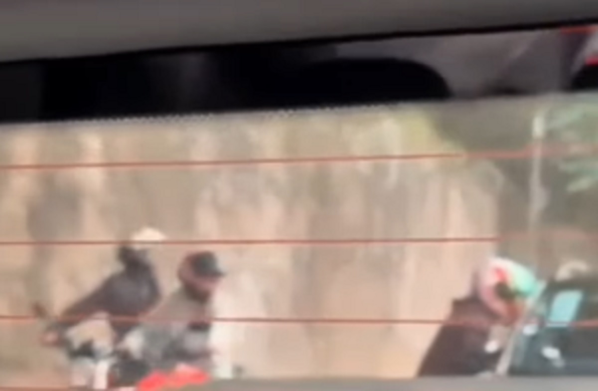 Morumbi: vídeo de assalto viraliza e polícia procura suspeitos. Imagem: Reprodução Morumbi: vídeo de assalto viraliza e polícia procura suspeitos. Imagem: Reprodução
