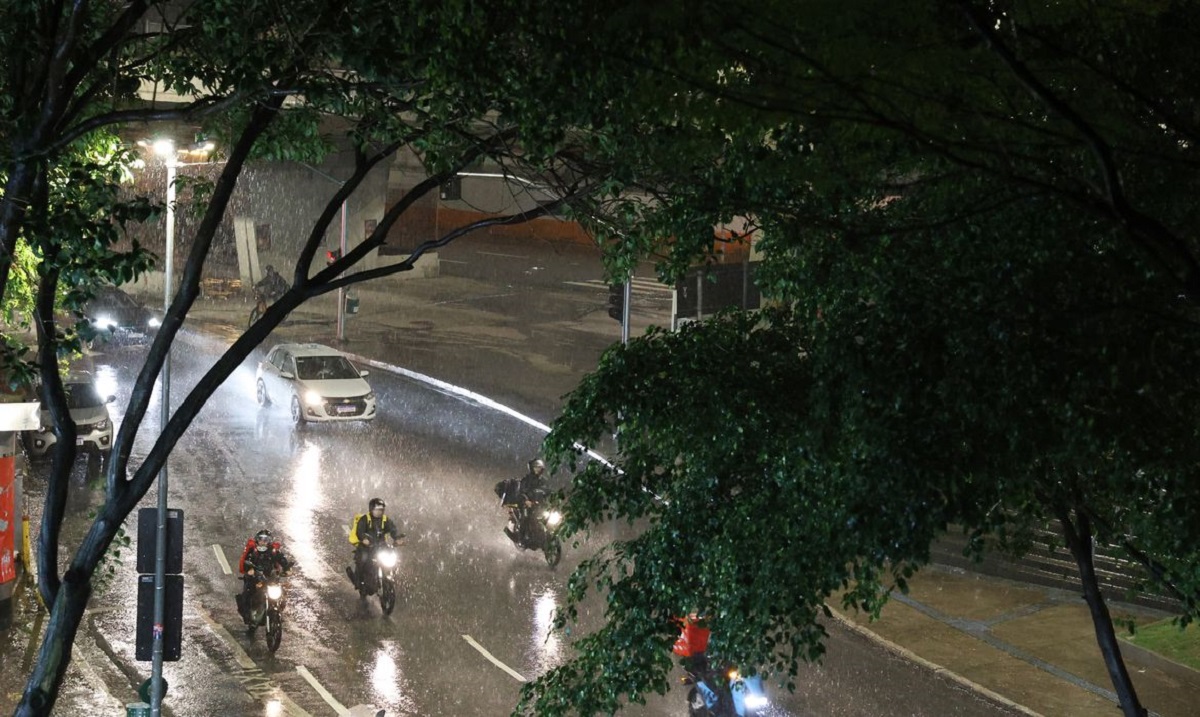 Ventos em SP derrubam 40 árvores e cancelam voos. Imagem: Rovena Rosa/Ag. Brasil Ventos em SP derrubam 40 árvores e cancelam voos. Imagem: Rovena Rosa/Ag. Brasil