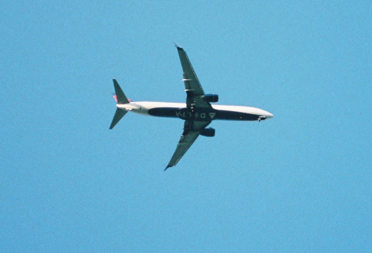 Voo da Delta para SP desvia para Porto Rico e atrasa. Imagem: Divulgação Delta