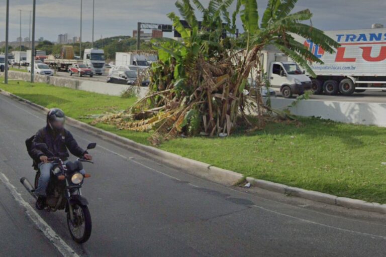 Gangue da bananeira: conheça nova modalidade do crime em SP