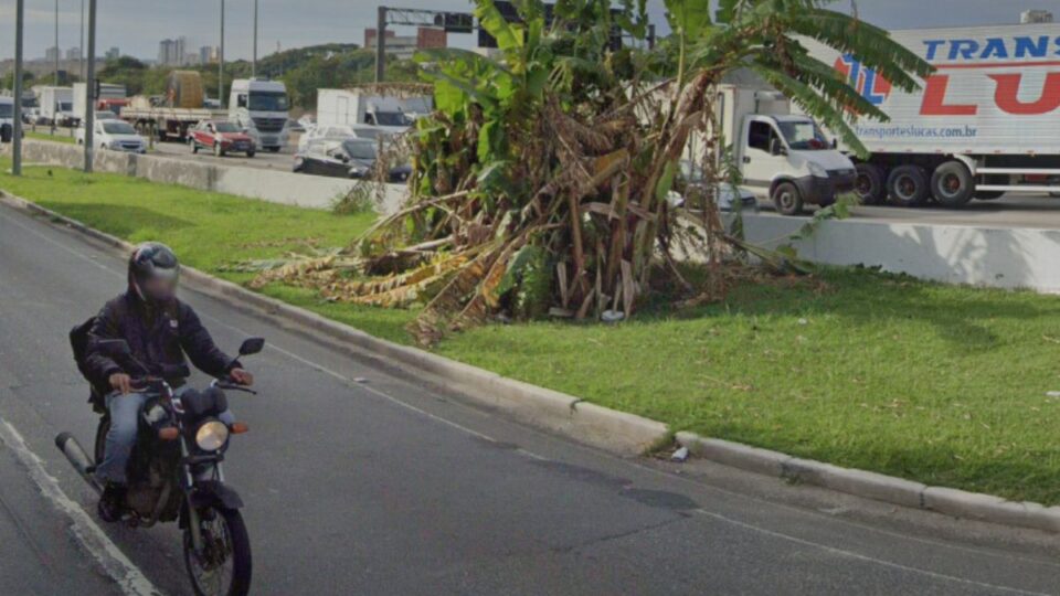 Gangue da bananeira: conheça nova modalidade do crime em SP. Imagem: Reprodução