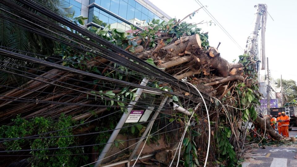Ciclone bomba faz Enel acionar plano de contingência. Imagem: Tânia Rêgo/Ag. Brasil