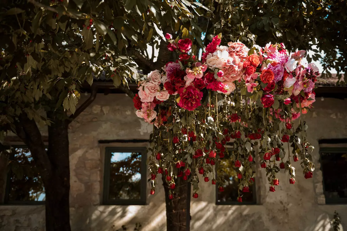 Como cultivar roseira pendente? Confira dicas para deixar a planta impecável! Foto: Freepik