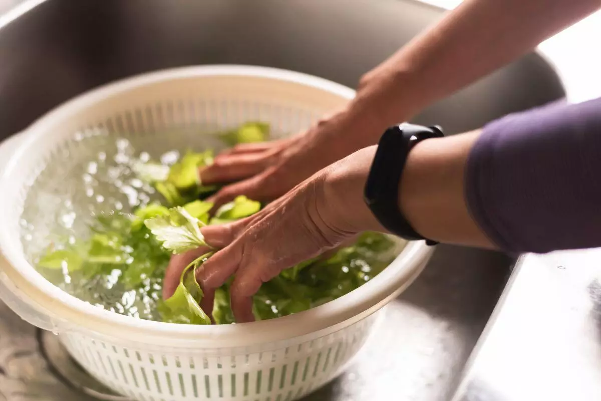 Como higienizar hortaliças antes de armazenar: aprenda e não erre mais. Foto: Canva
