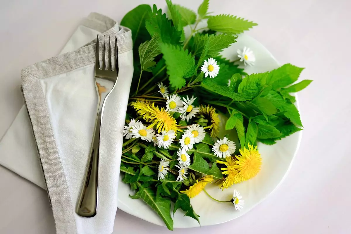 Jardim de comida: cultive plantas comestíveis de maneira simples com essas dicas. Foto: Pixabay