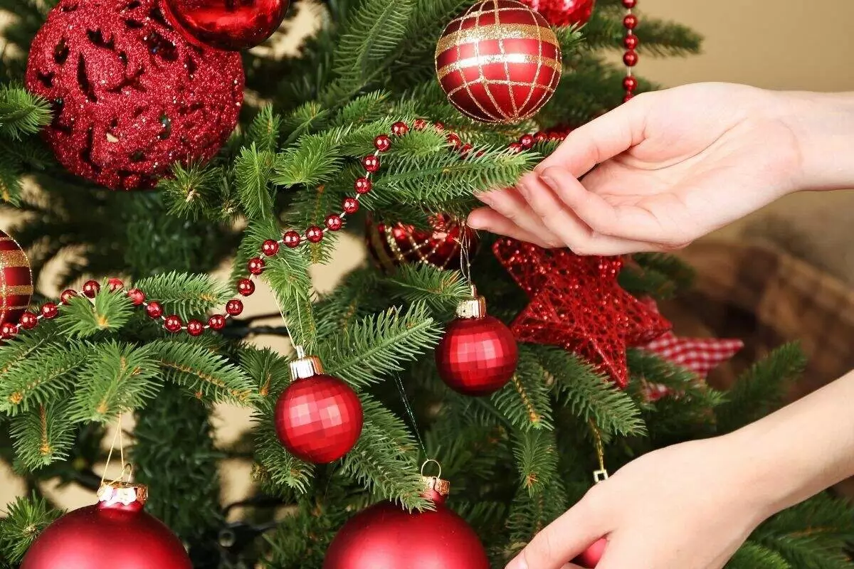 Plantas natalinas: confira essas dicas de decoração para o natal! Foto: Canva